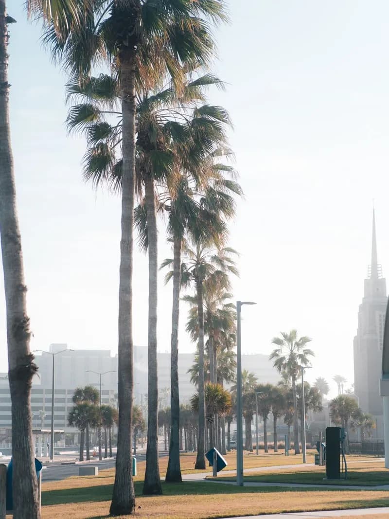 Corpus Christi