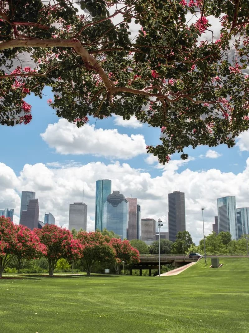 Houston