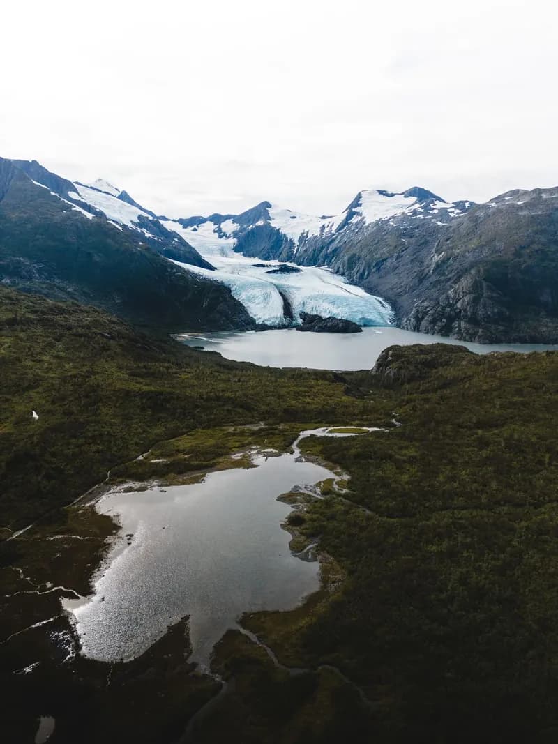 Kodiak