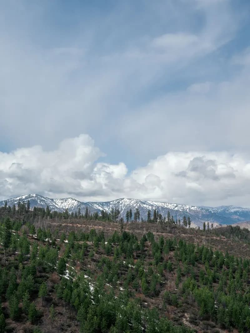 Pocatello