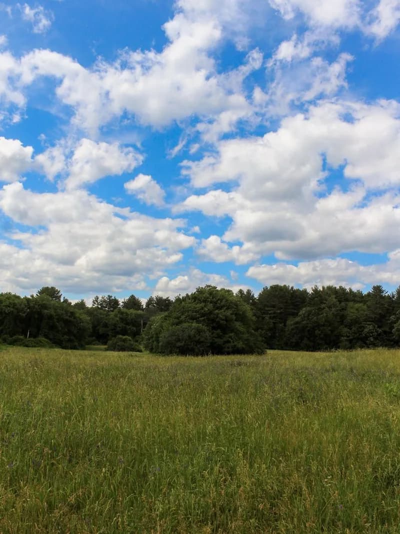 Agawam