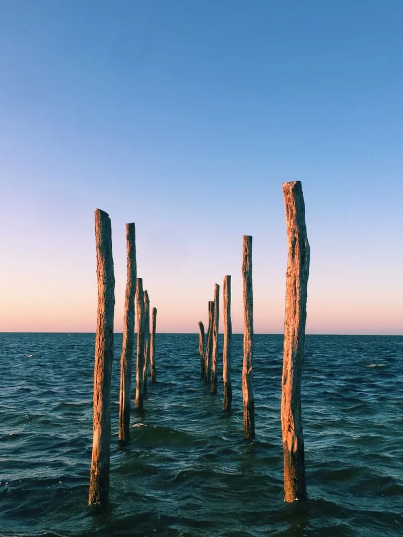 Moss Point
