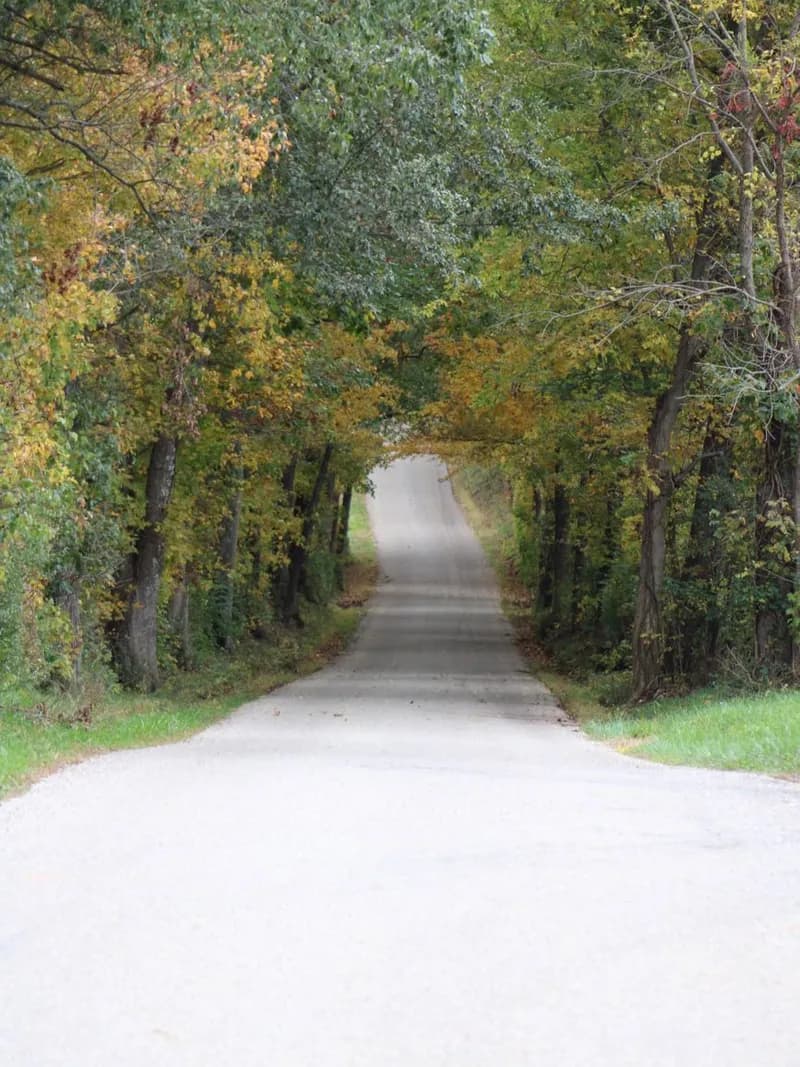 Brookville
