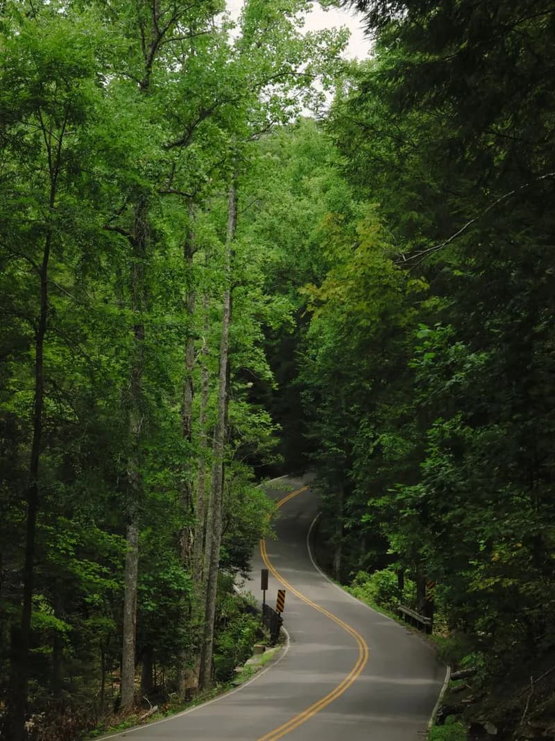 Atoka