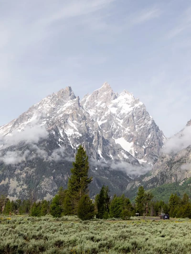 Cheyenne