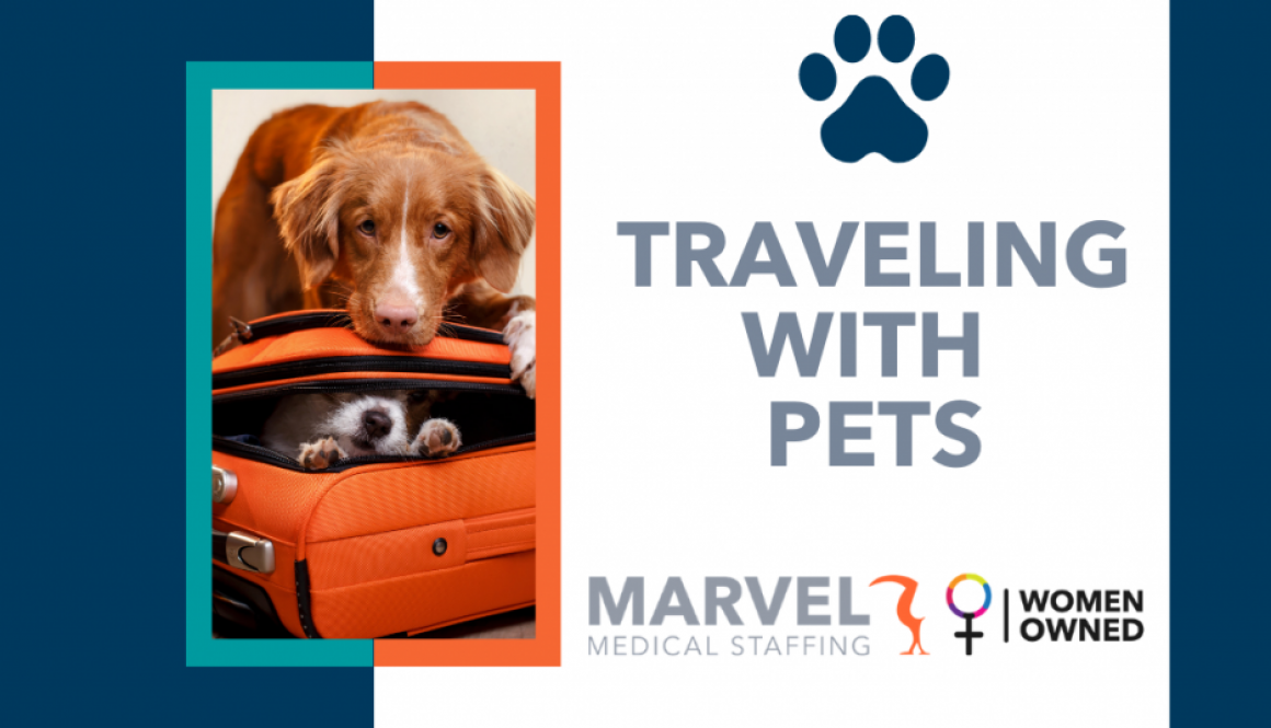 Traveling with pets blog