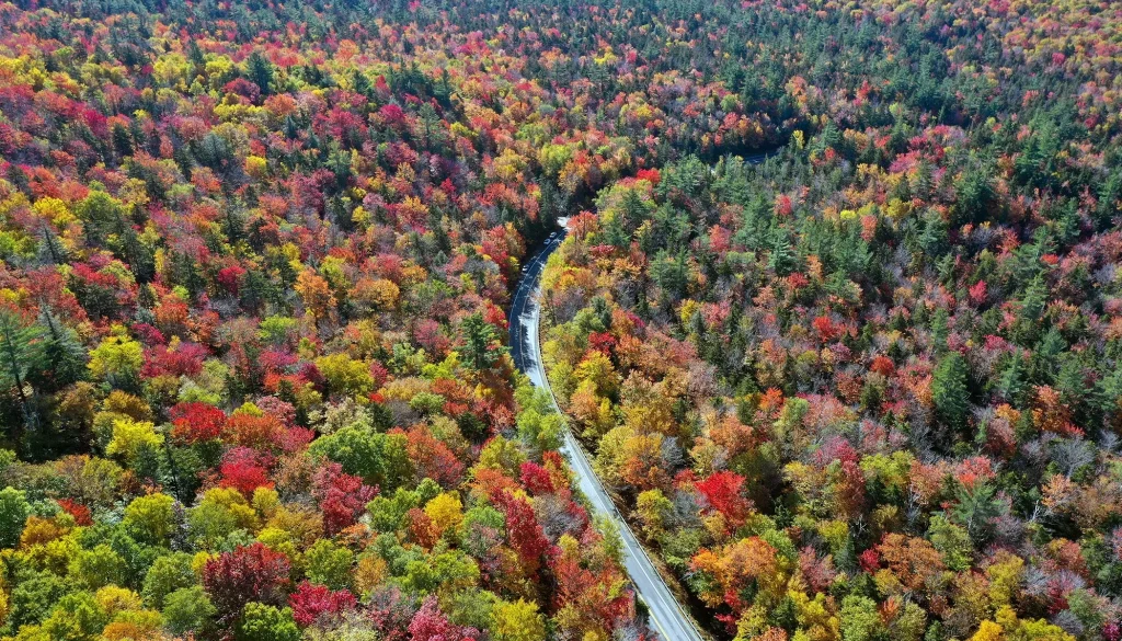 Fall-Travel-Assignments-for-Nurses