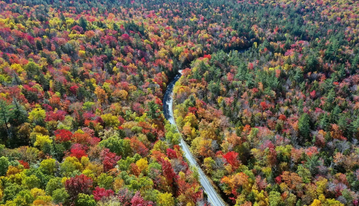 Fall-Travel-Assignments-for-Nurses