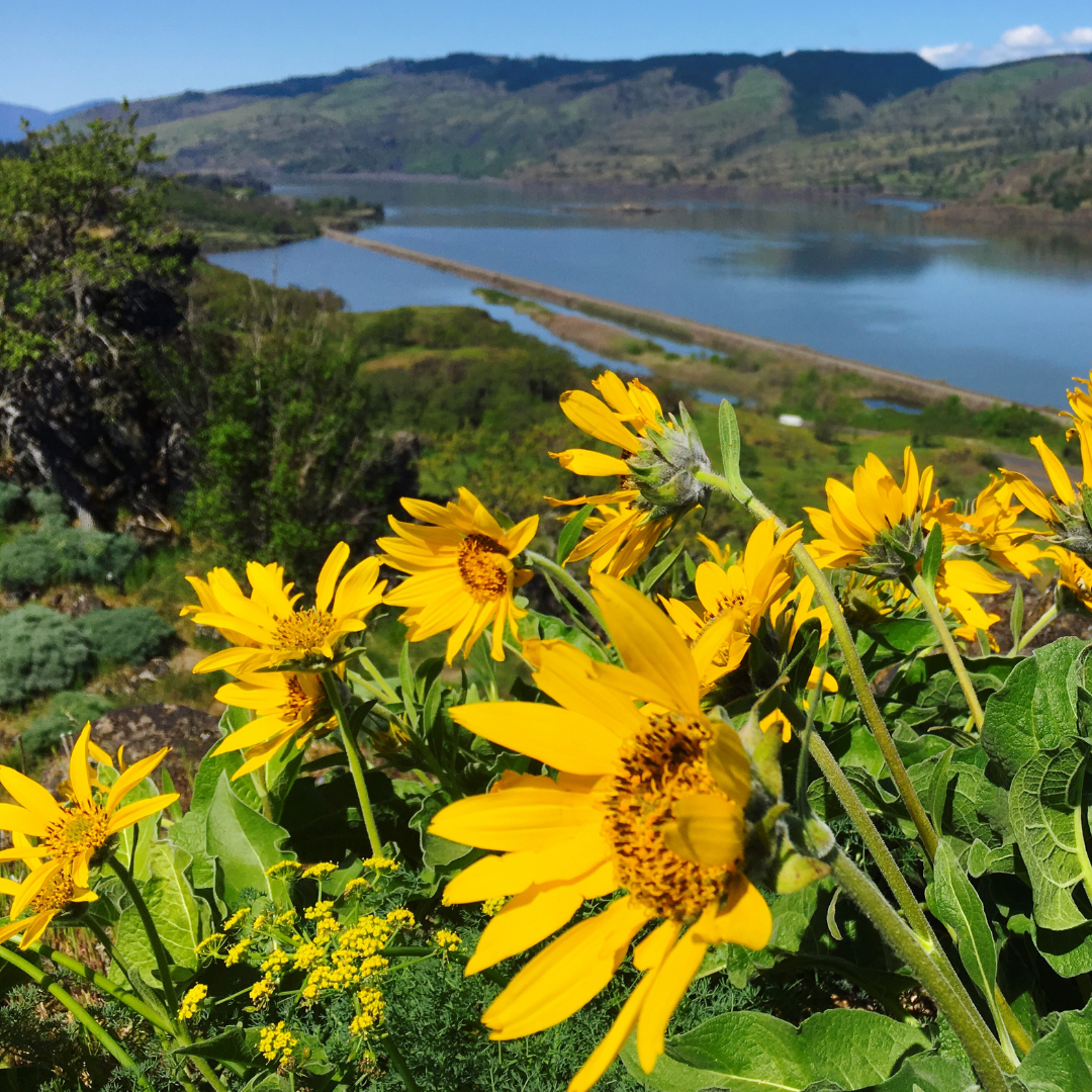 Columbia River Gorge Columbia River Gorge