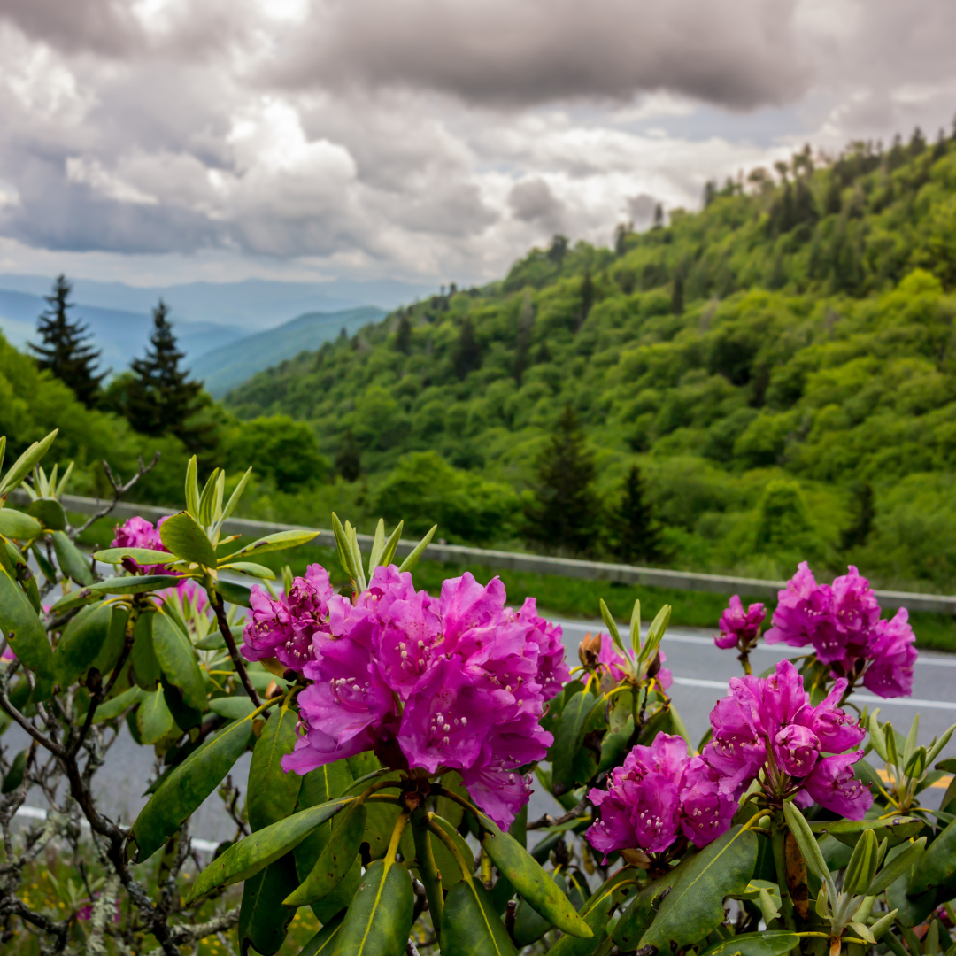 Great Smoky Mountains National Park, Tennessee and North Carolina Great Smoky Mountains National Park, Tennessee and North Carolina