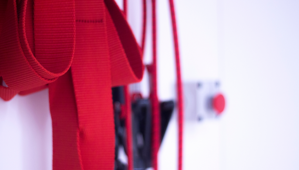 Physical Therapist Assistant to a Physical Therapist